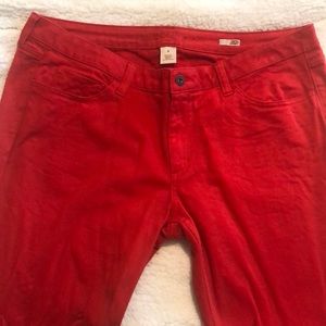 Arizona Red Skinny Jeans
